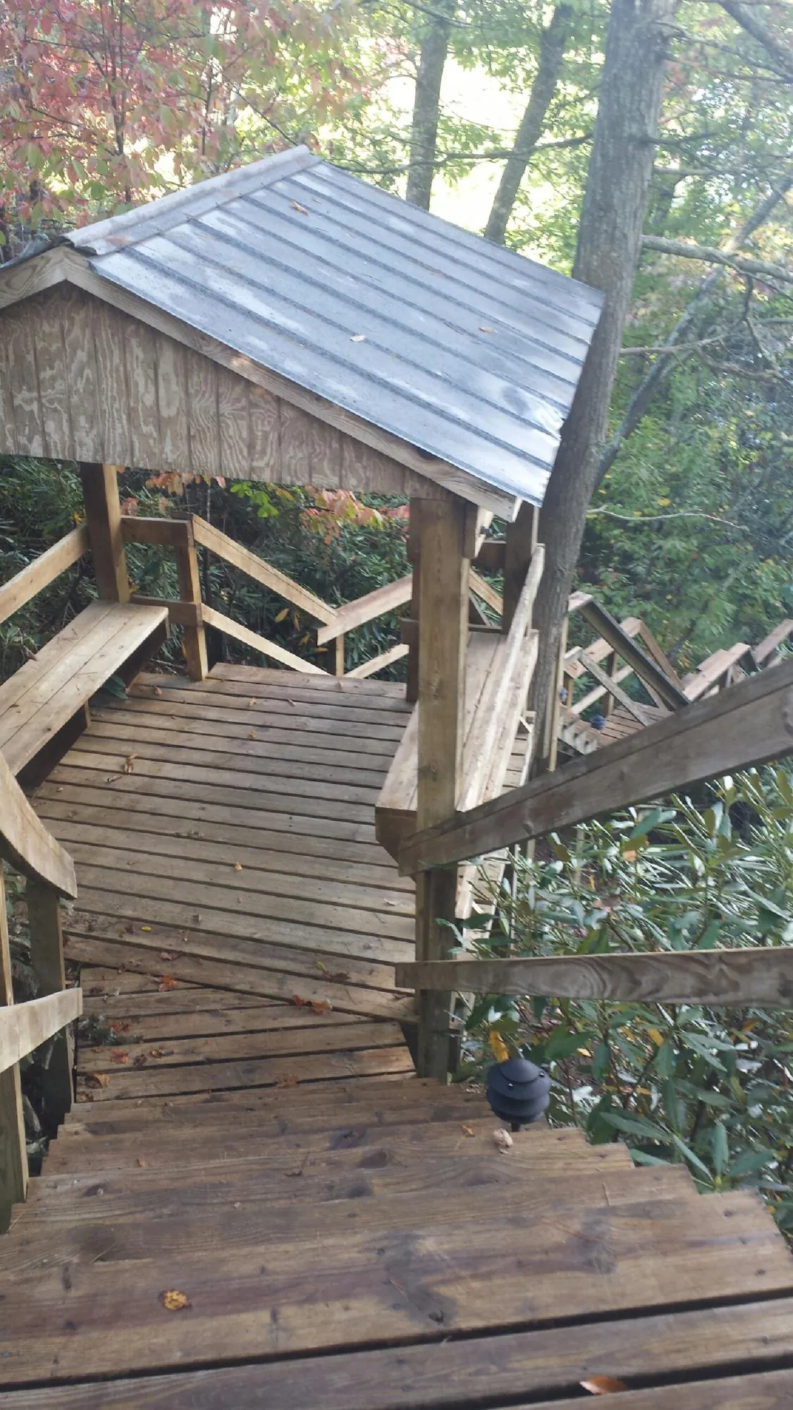 Metal roofed shelter over wooden steps on a wooded walkway — Skylight Repair & Installation work by our crew in Dinuba